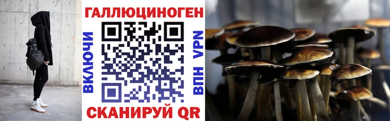 Галлюциногенные грибы Psilocybine cubensis  купить закладку  Духовщина 